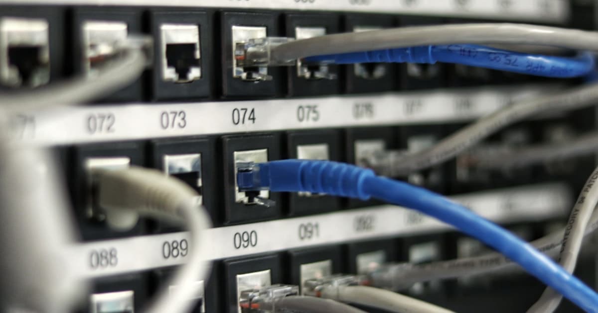 Network cables plugged into a patch panel, the kind of second line a backup stream relies on